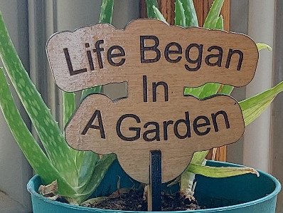 Life Began in A Garden Garden and Flower Pot Signs. Stake Marker, Funny Gift for Plant Lover, Outdoor Decor, Laser Cut Flowerpot sign