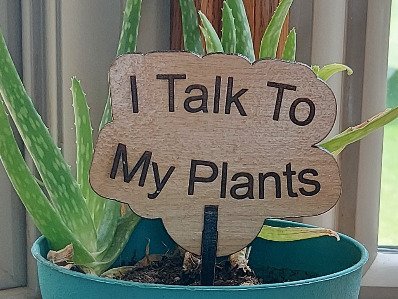 I Talk to My Plants Garden and Flower Pot Signs. Stake Marker, Funny Gift for Plant Lover, Outdoor Decor, Laser Cut Flowerpot sign