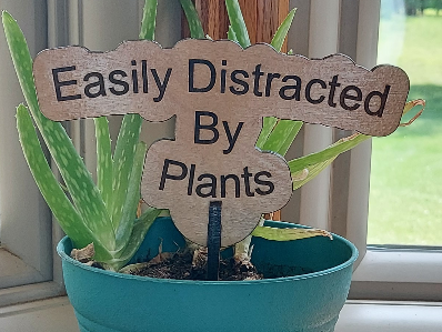 Easily Distracted By Plants Garden and Flower Pot Signs. Stake Marker, Funny Gift for Plant Lover, Outdoor Decor, Laser Cut Flowerpot sign