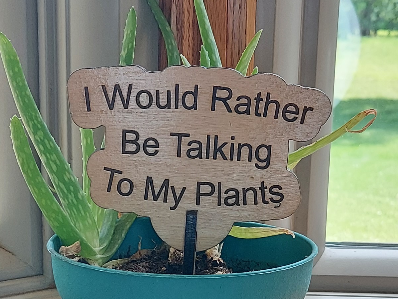 I Would Rather be Talking to my Plants Garden and Flower Pot Signs. Funny Gift for Plant Lover, Outdoor Decor, Laser Cut Flowerpot sign
