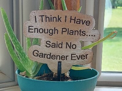 I Think I Have Enough Plants Garden and Flower Pot Signs. Stake Marker, Funny Gift for Plant Lover, Outdoor Decor, Laser Cut Flowerpot sign