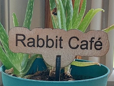 Rabbit Cafe Garden and Flower Pot Signs. Stake Marker, Funny Gift for Plant Lover, Outdoor Decor, Laser Cut Flowerpot sign