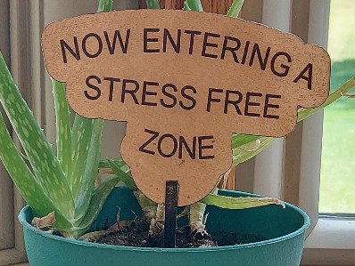 Now Entering a Stress Free Zone Garden and Flower Pot Signs. Stake Marker, Gift for Plant Lover, Outdoor Decor, Laser Cut Flowerpot sign