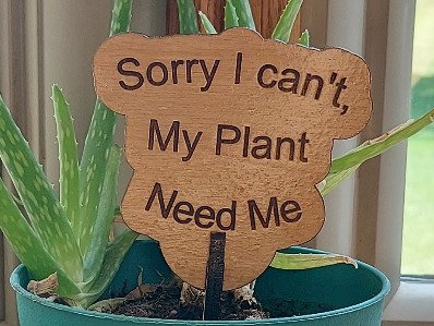 Sorry I can't my plants need me Garden and Flower Pot Signs. Funny Gift for Plant Lover, Outdoor Decor, Laser Cut Flowerpot sign