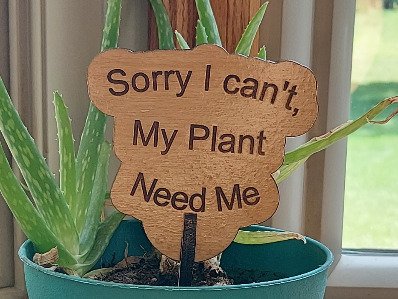 Sorry I Can't, My Plants Need Me Garden and Flower Pot Signs.Stake Marker, Funny Gift for Plant Lover, Outdoor Decor, Laser Cut sign