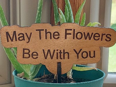 May The Flowers Be With You Garden and Flower Pot Signs. Stake Marker, Funny Gift for Plant Lover, Outdoor Decor, Laser Cut Flowerpot sign