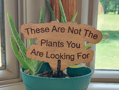 These are not the plants you are looking for Garden and Flower Pot Sign Funny Gift for Plant Lover, Outdoor Decor, Laser Cut Flowerpot sign